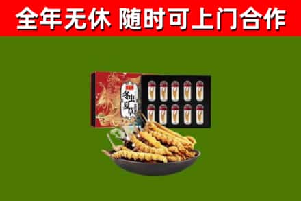 交城回收冬虫夏草价格